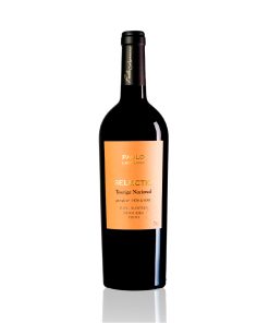 Vin Rouge Paulo Laureano Selectio Touriga Nacional 2013, 75cl Regional Alentejano
