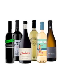 Caisse de Vins Sélection du sommelier Septembre 2025, 75cl