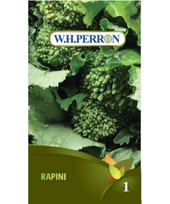 Rapini