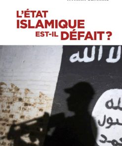 L&rsquo;État islamique est-il défait ?