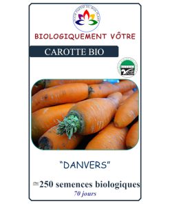 Carotte Danvers