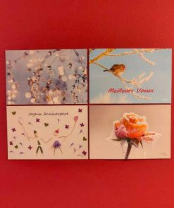 Carte postale – Véronique Brosseau