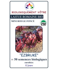 Laitue Romaine Mini Rouge Foncé Ezbruke