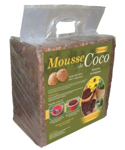 Bloc de Mousse de Coco Compressé